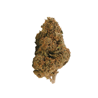 Jack Herer THCX 2.0 🌿