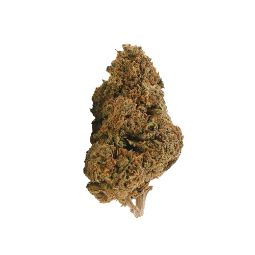 Jack Herer THCX 2.0 🌿