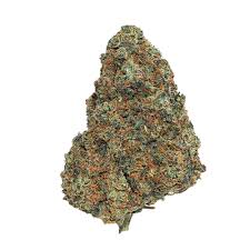 Cali Skywalker OG TH-X 🌌