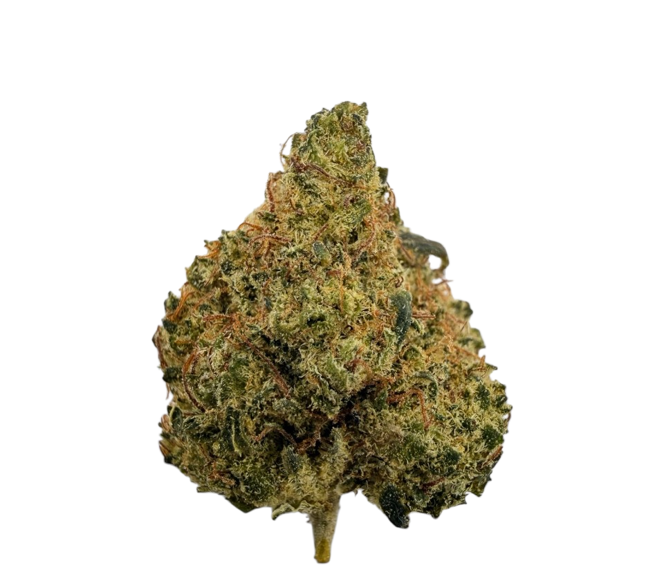 Small Buds THC+ 💥 – 1