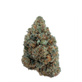 Super Amnesia THC+ 🧠